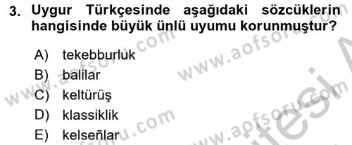 Çağdaş Türk Yazı Dilleri 2 Dersi 2016 - 2017 Yılı (Vize) Ara Sınav Soruları 3. Soru