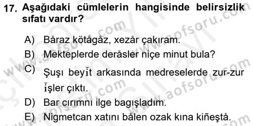 Çağdaş Türk Yazı Dilleri 2 Dersi 2017 - 2018 Yılı (Vize) Ara Sınav Soruları 17. Soru