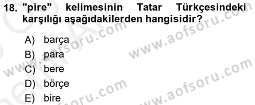 Çağdaş Türk Yazı Dilleri 2 Dersi 2018 - 2019 Yılı (Vize) Ara Sınav Soruları 18. Soru