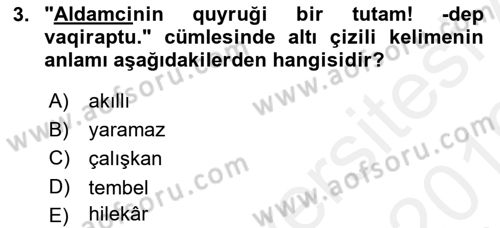 Çağdaş Türk Yazı Dilleri 2 Dersi 2018 - 2019 Yılı (Vize) Ara Sınav Soruları 3. Soru
