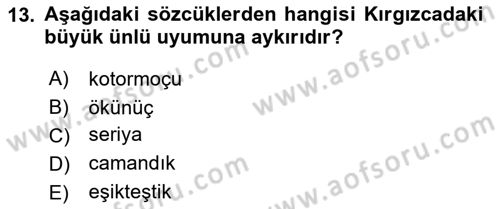 Çağdaş Türk Yazı Dilleri 2 Dersi 2018 - 2019 Yılı (Final) Dönem Sonu Sınav Soruları 13. Soru