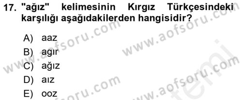 Çağdaş Türk Yazı Dilleri 2 Dersi 2018 - 2019 Yılı (Final) Dönem Sonu Sınav Soruları 17. Soru