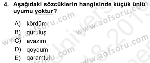 Çağdaş Türk Yazı Dilleri 2 Dersi 2018 - 2019 Yılı (Final) Dönem Sonu Sınav Soruları 4. Soru