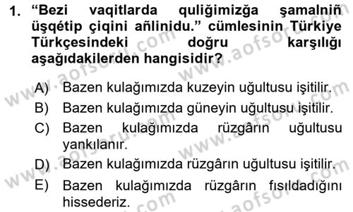Çağdaş Türk Yazı Dilleri 2 Dersi 2018 - 2019 Yılı Yaz Okulu Sınav Soruları 1. Soru
