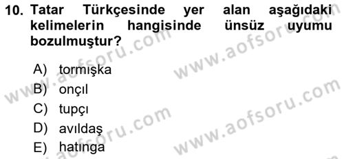 Çağdaş Türk Yazı Dilleri 2 Dersi 2018 - 2019 Yılı Yaz Okulu Sınav Soruları 10. Soru