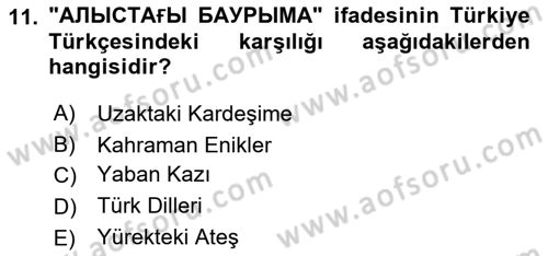 Çağdaş Türk Yazı Dilleri 2 Dersi 2018 - 2019 Yılı Yaz Okulu Sınav Soruları 11. Soru