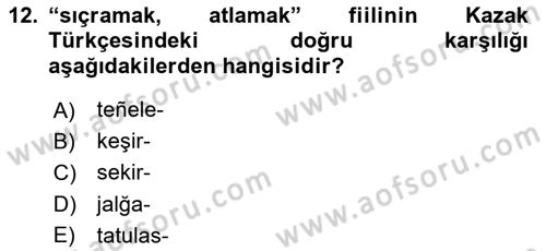 Çağdaş Türk Yazı Dilleri 2 Dersi 2018 - 2019 Yılı Yaz Okulu Sınav Soruları 12. Soru