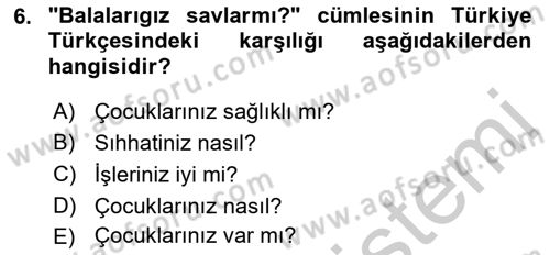 Çağdaş Türk Yazı Dilleri 2 Dersi 2018 - 2019 Yılı Yaz Okulu Sınav Soruları 6. Soru