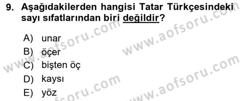 Çağdaş Türk Yazı Dilleri 2 Dersi 2018 - 2019 Yılı Yaz Okulu Sınav Soruları 9. Soru