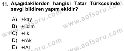 Çağdaş Türk Yazı Dilleri 2 Dersi 2021 - 2022 Yılı (Vize) Ara Sınav Soruları 11. Soru