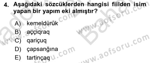 Çağdaş Türk Yazı Dilleri 2 Dersi 2021 - 2022 Yılı (Vize) Ara Sınav Soruları 4. Soru
