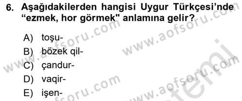 Çağdaş Türk Yazı Dilleri 2 Dersi 2021 - 2022 Yılı (Vize) Ara Sınav Soruları 6. Soru
