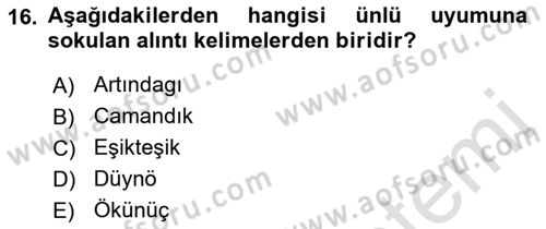 Çağdaş Türk Yazı Dilleri 2 Dersi 2021 - 2022 Yılı (Final) Dönem Sonu Sınav Soruları 16. Soru