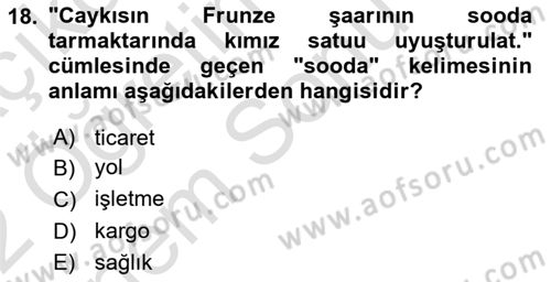 Çağdaş Türk Yazı Dilleri 2 Dersi 2021 - 2022 Yılı (Final) Dönem Sonu Sınav Soruları 18. Soru