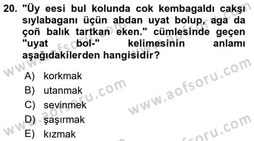 Çağdaş Türk Yazı Dilleri 2 Dersi 2021 - 2022 Yılı (Final) Dönem Sonu Sınav Soruları 20. Soru