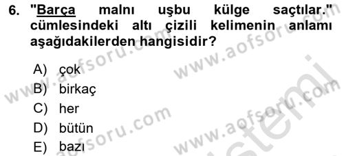 Çağdaş Türk Yazı Dilleri 2 Dersi 2021 - 2022 Yılı (Final) Dönem Sonu Sınav Soruları 6. Soru