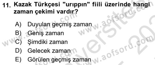 Çağdaş Türk Yazı Dilleri 2 Dersi 2023 - 2024 Yılı (Final) Dönem Sonu Sınav Soruları 11. Soru