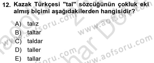 Çağdaş Türk Yazı Dilleri 2 Dersi 2023 - 2024 Yılı (Final) Dönem Sonu Sınav Soruları 12. Soru
