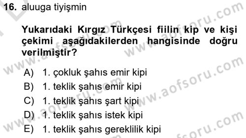 Çağdaş Türk Yazı Dilleri 2 Dersi 2023 - 2024 Yılı (Final) Dönem Sonu Sınav Soruları 16. Soru