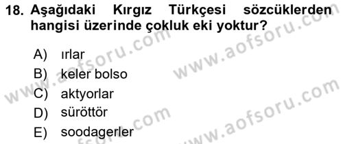 Çağdaş Türk Yazı Dilleri 2 Dersi 2023 - 2024 Yılı (Final) Dönem Sonu Sınav Soruları 18. Soru