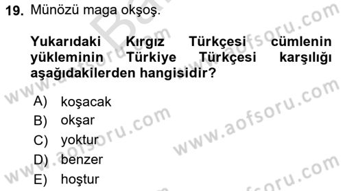 Çağdaş Türk Yazı Dilleri 2 Dersi 2023 - 2024 Yılı (Final) Dönem Sonu Sınav Soruları 19. Soru