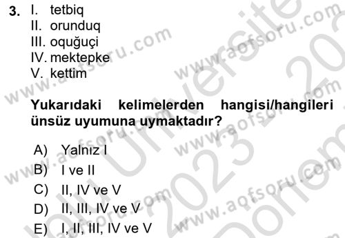 Çağdaş Türk Yazı Dilleri 2 Dersi 2023 - 2024 Yılı (Final) Dönem Sonu Sınav Soruları 3. Soru