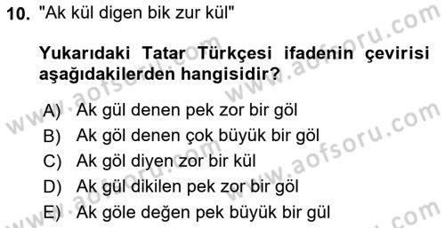 Çağdaş Türk Yazı Dilleri 2 Dersi 2024 - 2025 Yılı (Final) Dönem Sonu Sınav Soruları 10. Soru
