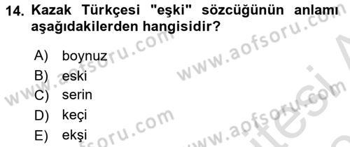 Çağdaş Türk Yazı Dilleri 2 Dersi 2024 - 2025 Yılı (Final) Dönem Sonu Sınav Soruları 14. Soru