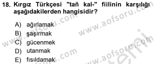 Çağdaş Türk Yazı Dilleri 2 Dersi 2024 - 2025 Yılı (Final) Dönem Sonu Sınav Soruları 18. Soru