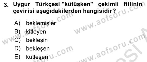Çağdaş Türk Yazı Dilleri 2 Dersi 2024 - 2025 Yılı (Final) Dönem Sonu Sınav Soruları 3. Soru