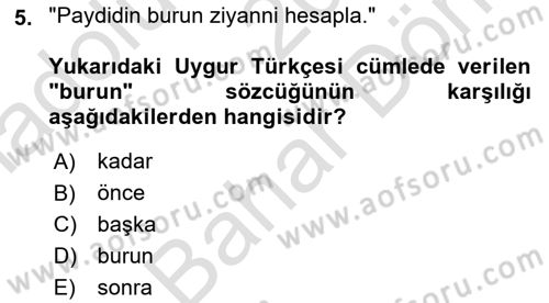 Çağdaş Türk Yazı Dilleri 2 Dersi 2024 - 2025 Yılı (Final) Dönem Sonu Sınav Soruları 5. Soru