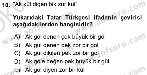 Çağdaş Türk Yazı Dilleri 2 Dersi 2024 - 2025 Yılı Yaz Okulu Sınav Soruları 10. Soru