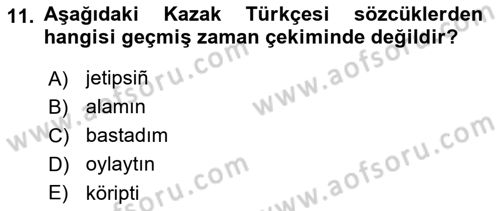 Çağdaş Türk Yazı Dilleri 2 Dersi 2024 - 2025 Yılı Yaz Okulu Sınav Soruları 11. Soru