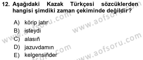 Çağdaş Türk Yazı Dilleri 2 Dersi 2024 - 2025 Yılı Yaz Okulu Sınav Soruları 12. Soru