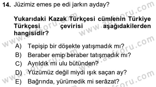 Çağdaş Türk Yazı Dilleri 2 Dersi 2024 - 2025 Yılı Yaz Okulu Sınav Soruları 14. Soru