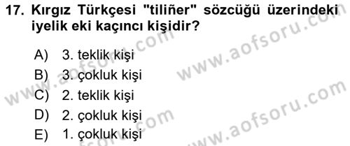 Çağdaş Türk Yazı Dilleri 2 Dersi 2024 - 2025 Yılı Yaz Okulu Sınav Soruları 17. Soru