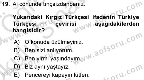 Çağdaş Türk Yazı Dilleri 2 Dersi 2024 - 2025 Yılı Yaz Okulu Sınav Soruları 19. Soru