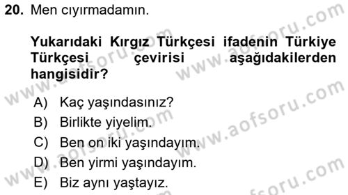 Çağdaş Türk Yazı Dilleri 2 Dersi 2024 - 2025 Yılı Yaz Okulu Sınav Soruları 20. Soru
