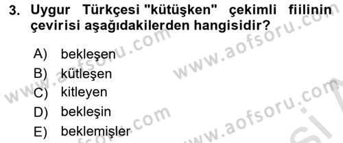 Çağdaş Türk Yazı Dilleri 2 Dersi 2024 - 2025 Yılı Yaz Okulu Sınav Soruları 3. Soru