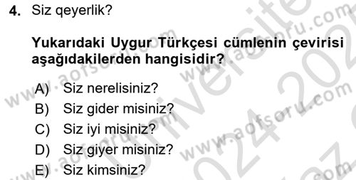 Çağdaş Türk Yazı Dilleri 2 Dersi 2024 - 2025 Yılı Yaz Okulu Sınav Soruları 4. Soru