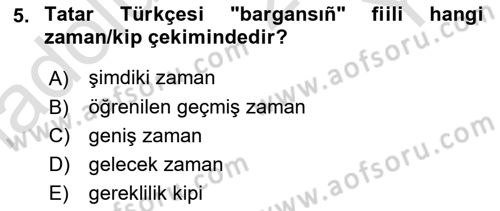 Çağdaş Türk Yazı Dilleri 2 Dersi 2024 - 2025 Yılı Yaz Okulu Sınav Soruları 5. Soru