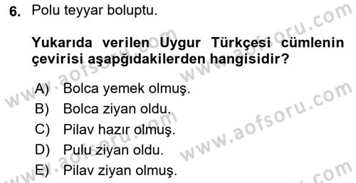 Çağdaş Türk Yazı Dilleri 2 Dersi 2024 - 2025 Yılı Yaz Okulu Sınav Soruları 6. Soru