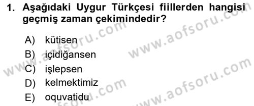 Çağdaş Türk Yazı Dilleri 2 Dersi 2025 - 2026 Yılı (Final) Dönem Sonu Sınav Soruları 1. Soru
