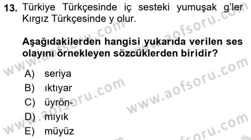 Çağdaş Türk Yazı Dilleri 2 Dersi 2025 - 2026 Yılı (Final) Dönem Sonu Sınav Soruları 13. Soru