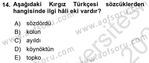 Çağdaş Türk Yazı Dilleri 2 Dersi 2025 - 2026 Yılı (Final) Dönem Sonu Sınav Soruları 14. Soru