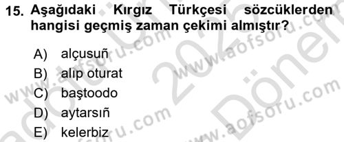 Çağdaş Türk Yazı Dilleri 2 Dersi 2025 - 2026 Yılı (Final) Dönem Sonu Sınav Soruları 15. Soru