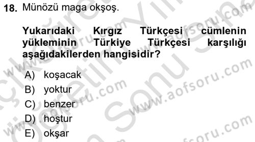 Çağdaş Türk Yazı Dilleri 2 Dersi 2025 - 2026 Yılı (Final) Dönem Sonu Sınav Soruları 18. Soru
