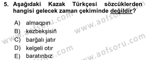 Çağdaş Türk Yazı Dilleri 2 Dersi 2025 - 2026 Yılı (Final) Dönem Sonu Sınav Soruları 5. Soru