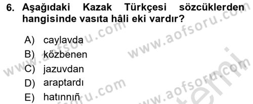 Çağdaş Türk Yazı Dilleri 2 Dersi 2025 - 2026 Yılı (Final) Dönem Sonu Sınav Soruları 6. Soru