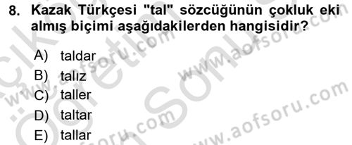 Çağdaş Türk Yazı Dilleri 2 Dersi 2025 - 2026 Yılı (Final) Dönem Sonu Sınav Soruları 8. Soru